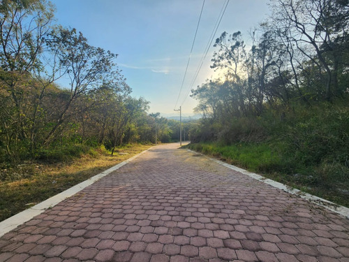 Venta Lote Gladiola 37 Con Vistas Panorámicas, Proyecto Incluído Y Todos Los Servicios Cerca De Las Amenidades De Fracc Rancho San Diego Ixtapan De La Sal Edomex