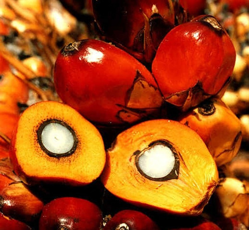 Azeite De DendĂȘ Da Bahia Puro Sabor Da Terra 10l