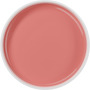 Segunda imagem para pesquisa de top coat