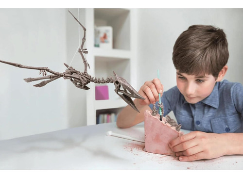 Kit Excavacion Esqueleto Fosil Dinosaurio Pteranodon Ciencia