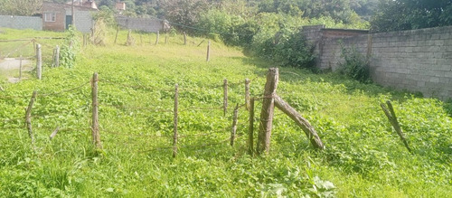 Venta Terreno 568,50 M2 - Los Molinos