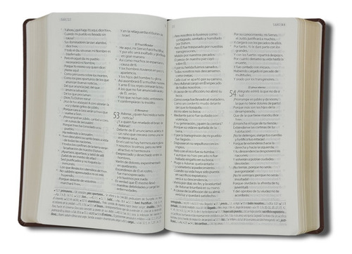 Imagen 6 de 7 de Biblia Textual Iv Edición Imit. Piel Marron