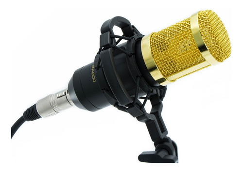 Microfono Condensador Profesional Estudio Grabacion Bm-800