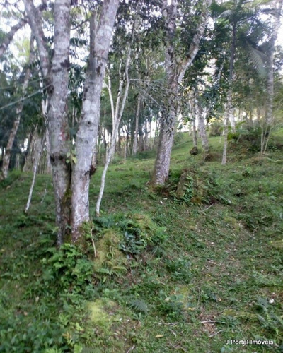 Imagem 5 de 30 de Chacara - 85 - 32939087