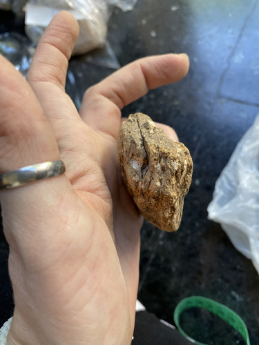 Piedras Lote De 3 Unid Naturales Fósiles Y Más (l5) Beige