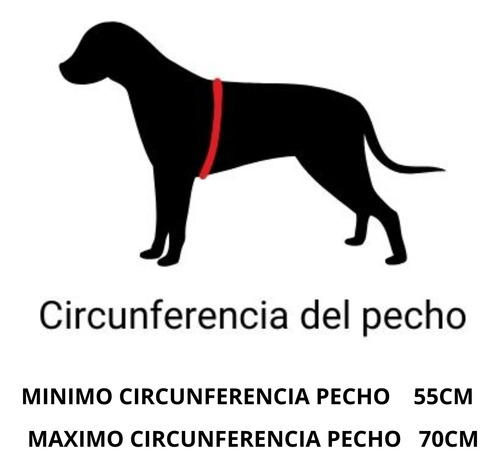 Pretal Arnes Perros Pechera Anti Tirones Mas Correa Gratis Talle S -- Color Negro S