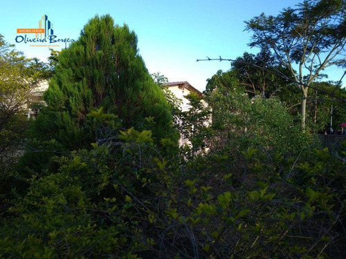 Chácara Com 4 Dormitórios À Venda, 5000 M² Por R$ 350.000,00 - Zona Rural - Anápolis/go - Ch0081