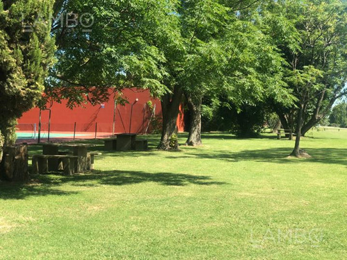 Imagen 13 de 20 de Venta Lote Manzanares La Ranita