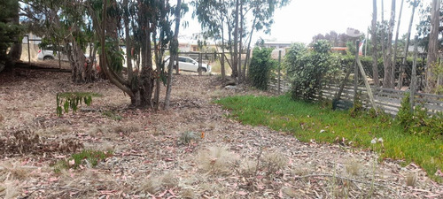 Sitio En Venta En El Quisco