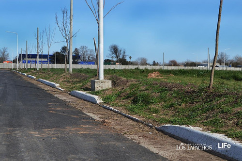 Imagen 8 de 10 de Los Lapachos - Lote 103 - 200 M2