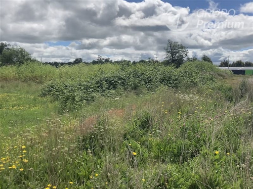 Imagen 6 de 6 de Sitio En Venta En Osorno