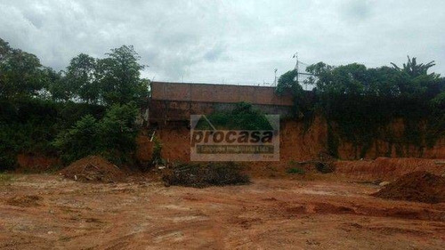 Imagem 2 de 3 de Terreno À Venda, 1200 M² Por R$ 225.000 - Tarumã - Manaus/am - Te0848