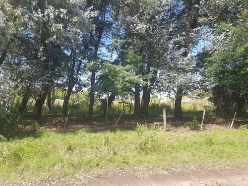 Venta Lote De 3200 M2 En La Reja