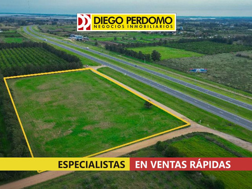 Predio De 15000m² En Venta, Montevideo.