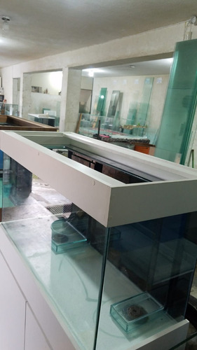 Aquário Marinho 200 Litros Movel Sump Botas
