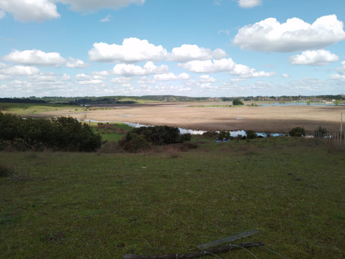Vendo Excelente Parcela 5000 M2, Ubicada En Lomas De Angol.