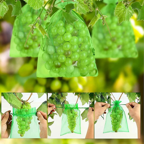 Protector De Uva Con Cordón, Bolsa De Malla Para Frutas, 100