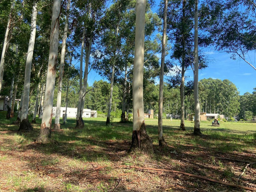 Imagen 3 de 30 de Lotes A La Venta En La Aldea Club De Campo - Colon Entre Rios Desde Usd 38.000!
