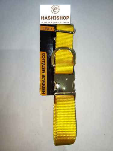 Collar Para Perro Mascota Cachorro Herraje Metalico Oro (Usado)