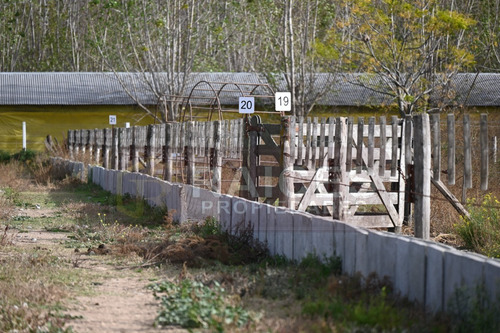 Imagen 8 de 12 de Feedlot En Alquiler! Ruta N. Nº 7 Km 87 A Cercania Del Peaje De San A. De Giles.