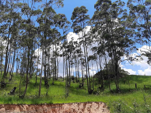 Construa Seu Imóvel Em Mairinque, Marque Sua Visita Hoje.
