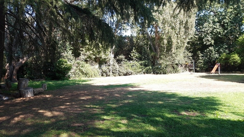 Imagen 7 de 11 de Alquiler De Quinta Para Pasar El Día En 20 De Junio - La Mat