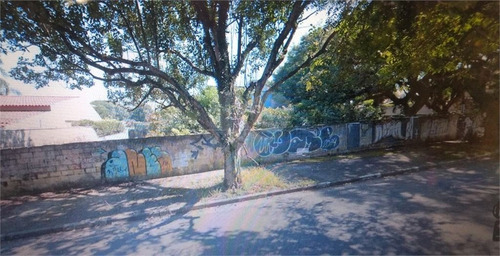 City Boaçava - Frente A Praça Barão Pinto Lima - 353-im80953