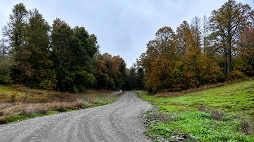 Parcela 5.000m2 | Sector Puquereo | Eje Freire-villarrica