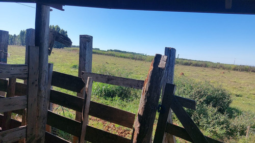 Vendo Fazenda Proximo A Brazlandia