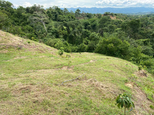 Imagen 17 de 30 de Agua De Dios - Finca De Produccion En Venta