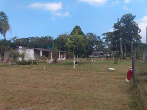 Imagem 9 de 14 de Terreno De Chácara Com 10.200m², No Litoral Sul. Itanhaém