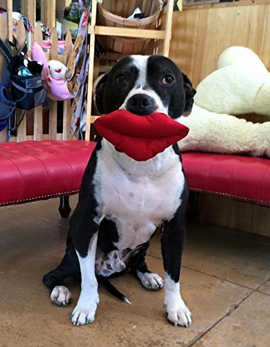 Juguete Para Perros American Dog Classic Collection Squeakin