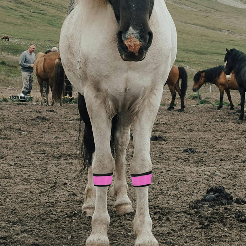 4 Bandas Led Brillantes Para Patas De Caballo, Reflectantes,