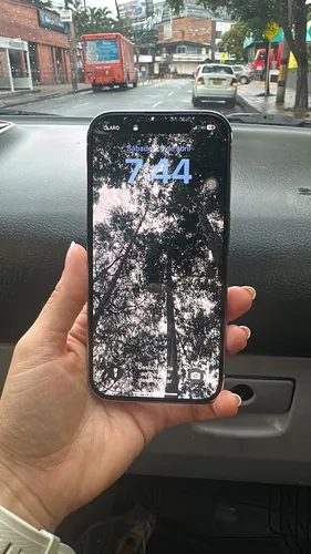 Apple iPhone 14 Pro (256 Gb) - Color Plata (Usado)