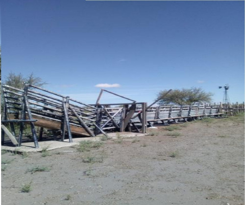 Campo De 3921 Hectareas Apto Todo Tipo De Actividad Agricola Ganadero Feed Lot O Fines Turisticos