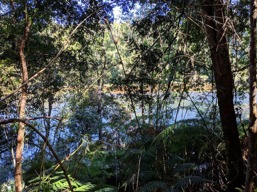 Terreno En Venta En Cisnes