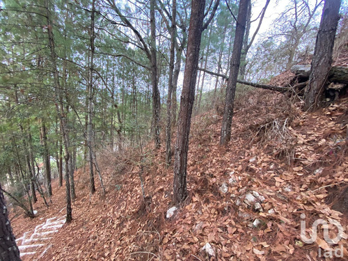 Venta Terreno 0 Ambiente San Nicolás