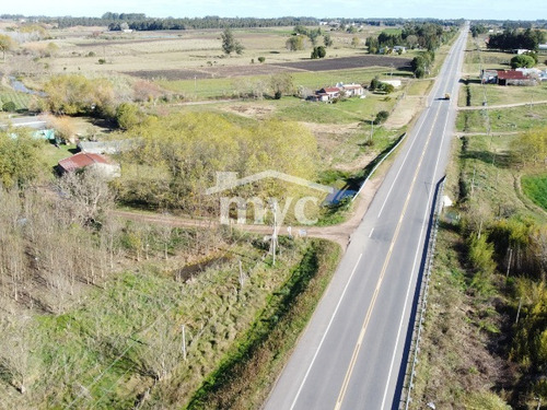 Imagen 2 de 18 de 1,3 Hás Con Casa Para Reciclar Sobre Ruta 7 Km 34.