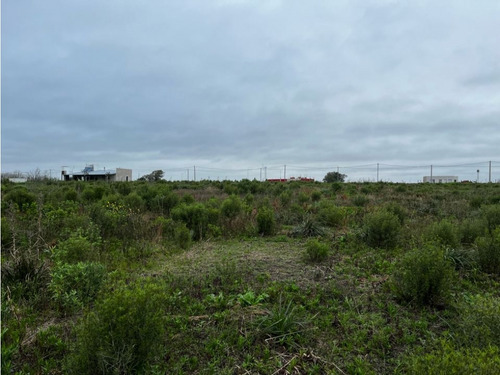 Vendo Lote De 1 Hectárea En San Justo, Entre Ríos.