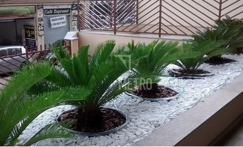Imagem 13 de 21 de Apartamento À Venda Em Cambuí - Ap000154