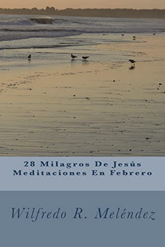28 Milagros De Jesus Meditaciones En Febrero
