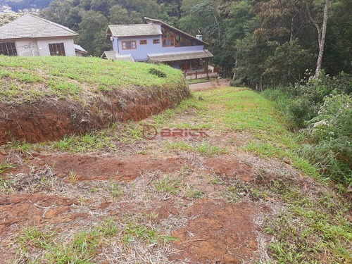 Imagem 3 de 20 de Terreno Com 840 M² Em Condomínio No Bairro De Vargem Grande. - Te00408 - 69410774