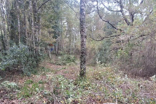 Venta De Terreno En Caburgua
