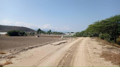 Imagen 9 de 30 de Fina En Venta Quibor Estado Lara, 04245937542