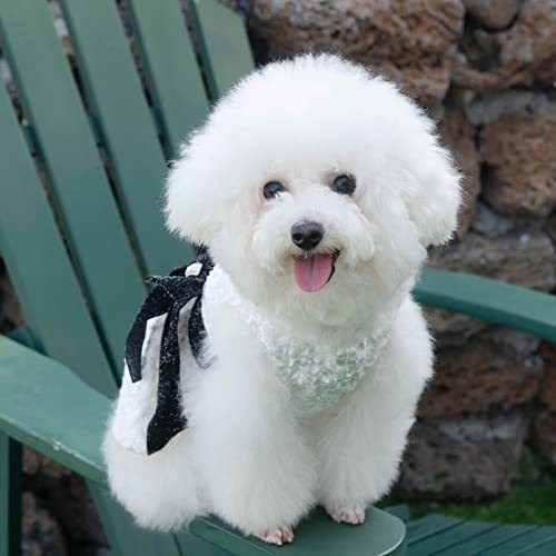 Imagen 3 de 8 de Cutebone Perro Vestido De Noche Fiesta Senior Bling Cachorro
