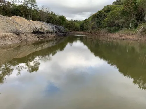 Fazenda De 30 Hectares Com 12 Plantados De Eucalipto