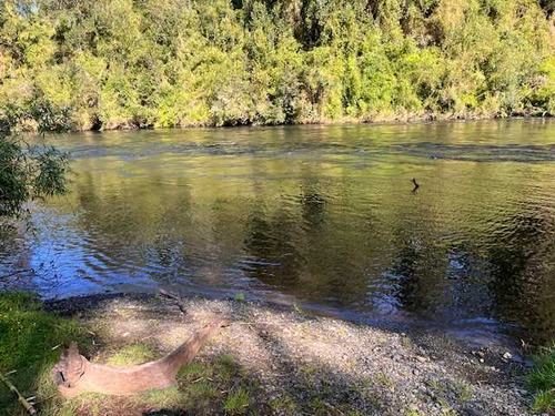 Exclusivos Mini Campos Orillas Río Maullin (70116)