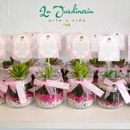 Imagen 3 de 10 de Recuerdos Souvenirs Plantas Vivas Terrarios