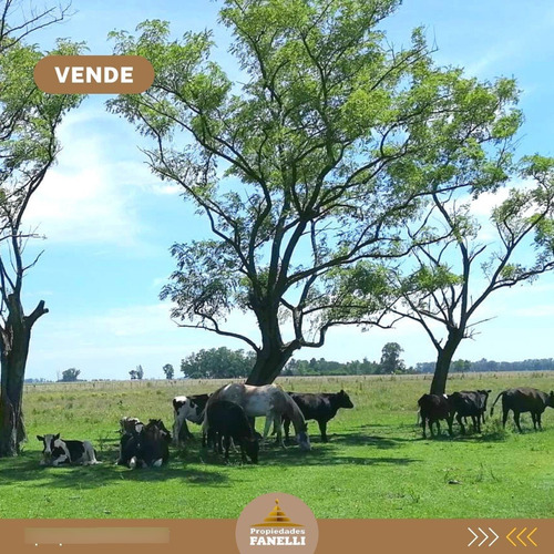 Pegado A Country Club Chacras Abbott Oportunidad Venta Campo Terreno 6 Hectareas 53738 M2 Sin Expensas Monte Buenos Aires Casa 4 Ambientes 3 Habitaciones, Baño, Cocina Comedor. Se Escucha Oferta!!!