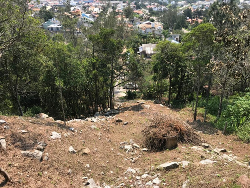 Terreno Para Venda Em Garopaba, Panorâmico - 912_2-1101151
